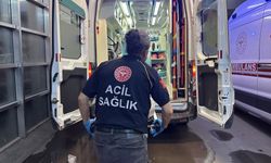 Adıyaman'da 3 yaşındaki çocuğu akrep soktu, yaşam savaşı veriyor