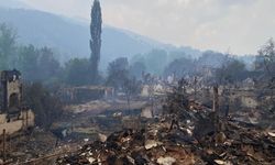 Bilecik’te orman yangını: 3 köyde yıkım büyük, 24 ev yıkıldı