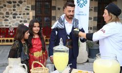 'Cizre Leyminete' coğrafi işaret olarak tescillendi