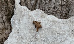 Dağcılara parmak ısırtacak tırmanış: Görüntüler Tunceli’den!