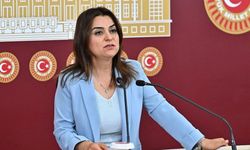 DEM Parti’den Suriye tezkeresine tepki!