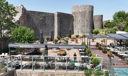 Diyarbakır Büyükşehir Fiskaya’daki kafesini yeniledi