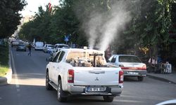 Diyarbakır’da havalar ısındı, böcekler çıktı: İlaçlamaya hız verildi