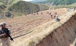 Diyarbakır Lice’de 12 milyon 389 bin kök imha edildi: 22 tutuklama