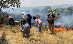 Diyarbakır - Mardin sınırında orman yangını: 3 saatte kontrol altına alındı