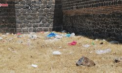 Diyarbakır Surlarının dipleri çöplüğe döndü: Otlar kurudu!