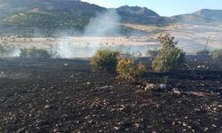 Diyarbakır’da 100 dönüm ekili arazi kül oldu