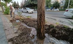 Diyarbakır’da gönüllü çalıştı: Takdirleri topladı