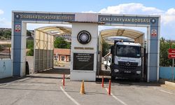 Diyarbakır’da kurban kesim ve satış alanları hazır!