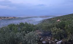 Diyarbakır'da ormanlık alanda örtü yangını