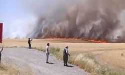 Diyarbakır’da binlerce dönüm ekin yandı: Alevler yerleşim yerlerine yetişti!