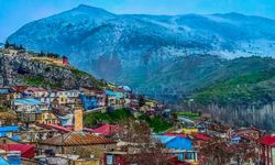 Diyarbakır’da en az ve en fazla köy hangi ilçede? İşte listesi