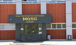 Elazığ’da yürüyüşe gitti: Uçurumdan düşerek hayatını kaybetti