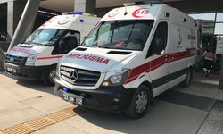 Elazığ’da onlarca acemi kasap hastanelik oldu!