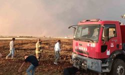 Mardin'de 350 dönüm ekili buğday tarlası kül oldu