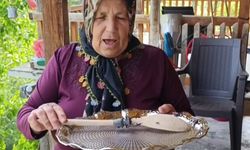 Bu böceğe zarar vermenin bedeli araba parası!