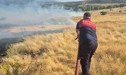 Piknik ateşi yangına neden oldu! 45 dönümlük alan küle döndü