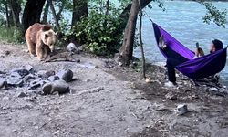 Tunceli’de kamp yapıyorlardı: Davetsiz misafirleri şaşkına uğrattı!