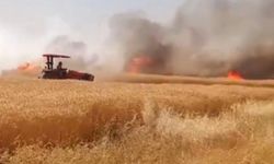 Urfa’da 170 dönümlük biçilmemiş buğday kül oldu!