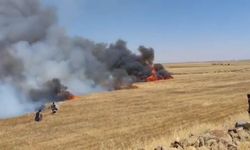 Urfa'da yangın: Bin dönüm buğday yandı, ağır yaralı var