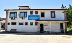 Diyarbakır Büyükşehir'in başlattığı kadınlara yönelik mesleki kurslar sürüyor!