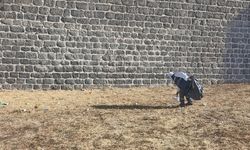 Diyarbakır Büyükşehir’den ‘Sur’ adımı: Ekipler sahada!