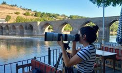 Diyarbakır Hevsel'de nadir görülen ziyaretçileri fotoğrafladı