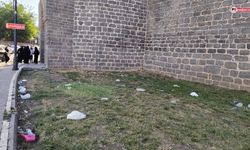 Diyarbakır Surları çöpten geçilmiyor: Büyükşehir'e çağrı