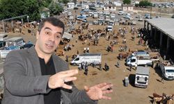 Diyarbakır’da hayvan pazarı kapatıldı, et fiyatları belli oldu!