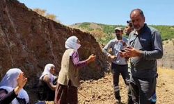 Diyarbakır’da binlerce ağaç kesildi: Kadınlar kepçenin önünü kesti