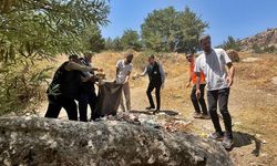 Diyarbakır’daki piknik alanı temizlendi: Başkan da katıldı