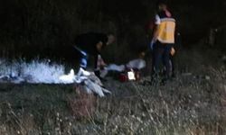 Elazığ – Bingöl yolunda otomobil devrildi: Ölüler ve yaralılar var