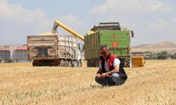 Kuraklık Vanlı çiftçileri vurdu! Çiftçi zorda