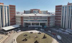 Sivas’ta kabus büyüyor! Aynı hastalıktan ölenlerin sayısı 11'e yükseldi