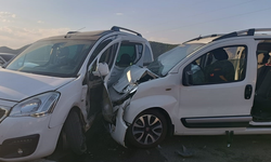 Bingöl Elazığ yolunda kaza yaşandı: 11 kişi yaralandı