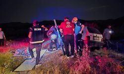 Bingöl - Elazığ yolunda otomobil ata çarptı: Yaralılar var