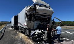 Bingöl'de trafik kazası: Bir kişi hayatını kaybetti