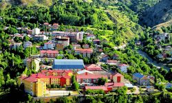 Bitlis'in yöresel lezzeti ‘Avşor Çorbası' tescillendi