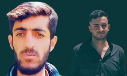 Bitlis'te bir aile 1 ay içerisinde iki evladını kaybetti!