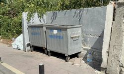 Çöpte yanmış bebek cesedi bulundu: İşte adresi