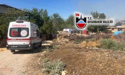 Diyarbakır Valiliği’nden ‘Lice’ açıklaması