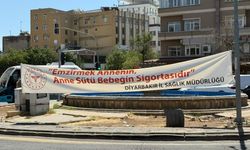 Diyarbakır'da Dünya Emzirme Haftası kutlandı