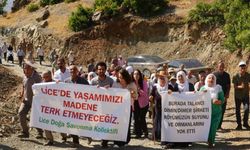 Diyarbakır'da köylüler eylemde: Sular tüketildi, 5 köy tehdit altında!