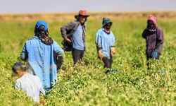 Diyarbakır’da tarım işçilerine hediye verildi
