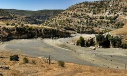 Diyarbakır’da 'Kulp Çayı' kurudu: Sebebi tepki çekti!