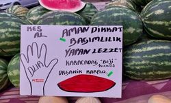 Diyarbakır’daki pankart beğeni aldı: Susuz Karacadağ Beji