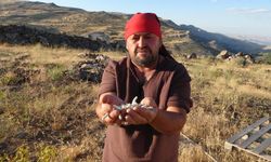 Doğada topladı: Kilosunu 10 bin TL'ye satıyor!