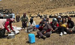 Hakkari’de çalışmalar sürüyor: Süt hijyeni eğitimi veriliyor