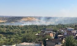 Hevsel Bahçeleri’nde yangın çıktı!