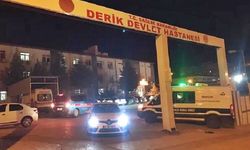 Derik'te 15 yaşındaki kız çocuğu vurulmuş halde bulundu